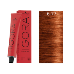 IGORA ROYAL RUBIO OSCURO COBRE INTENSO N° 6-77