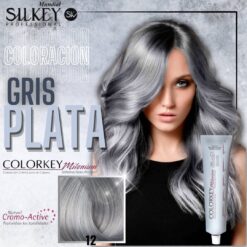 COLORACION EN CREMA SILKEY MILENIUM GRIS PLATA NRO 12